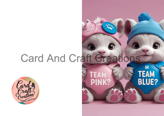 Team Pink or Team Blue – Guess the Gender Card