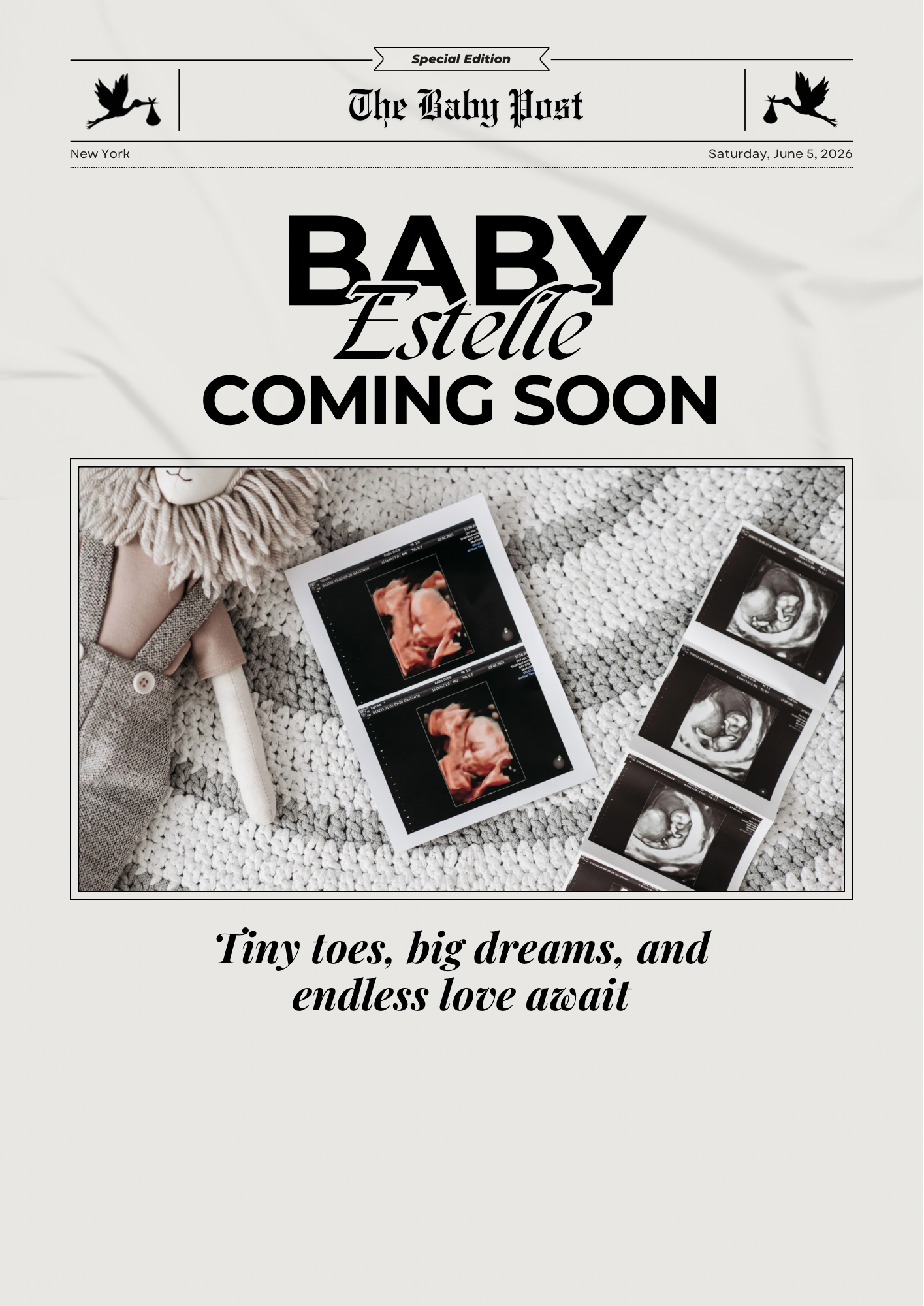 Pregnancy Announcement 2