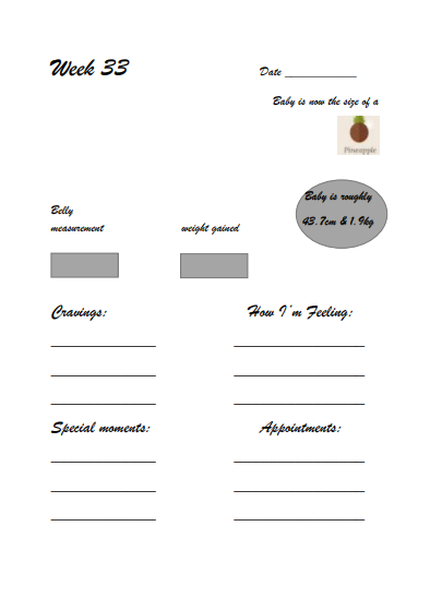 Pregnancy Journal